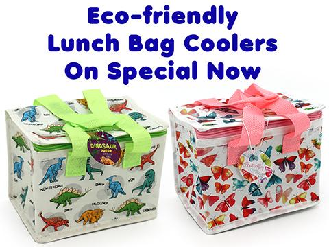Eco-Friendly-Lunch-Bag-Coolers-on-Special-Now.jpg